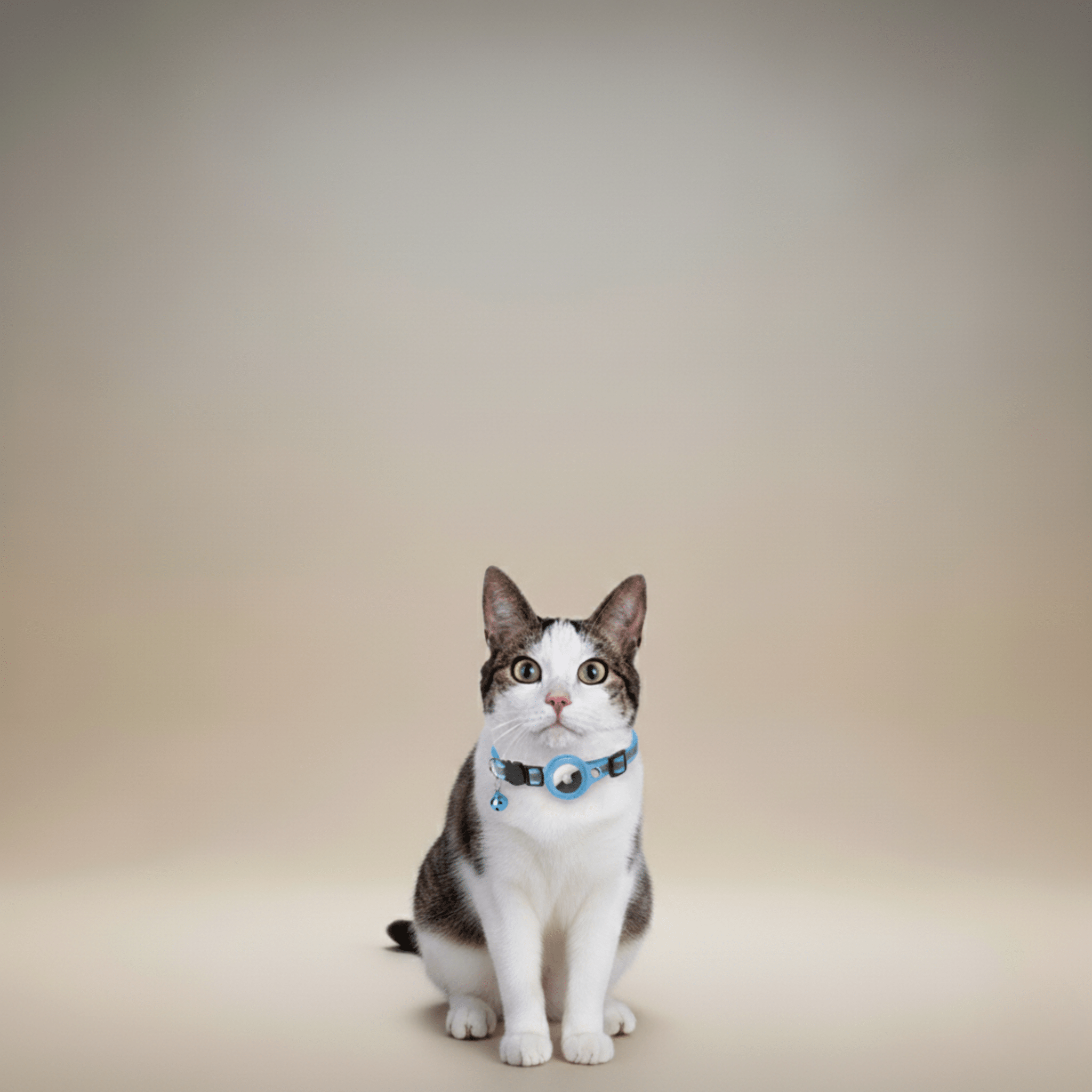 Cat Tracker Collar | GPS Cat Collar with Quick Release & Reflective Design for Enhanced Safety