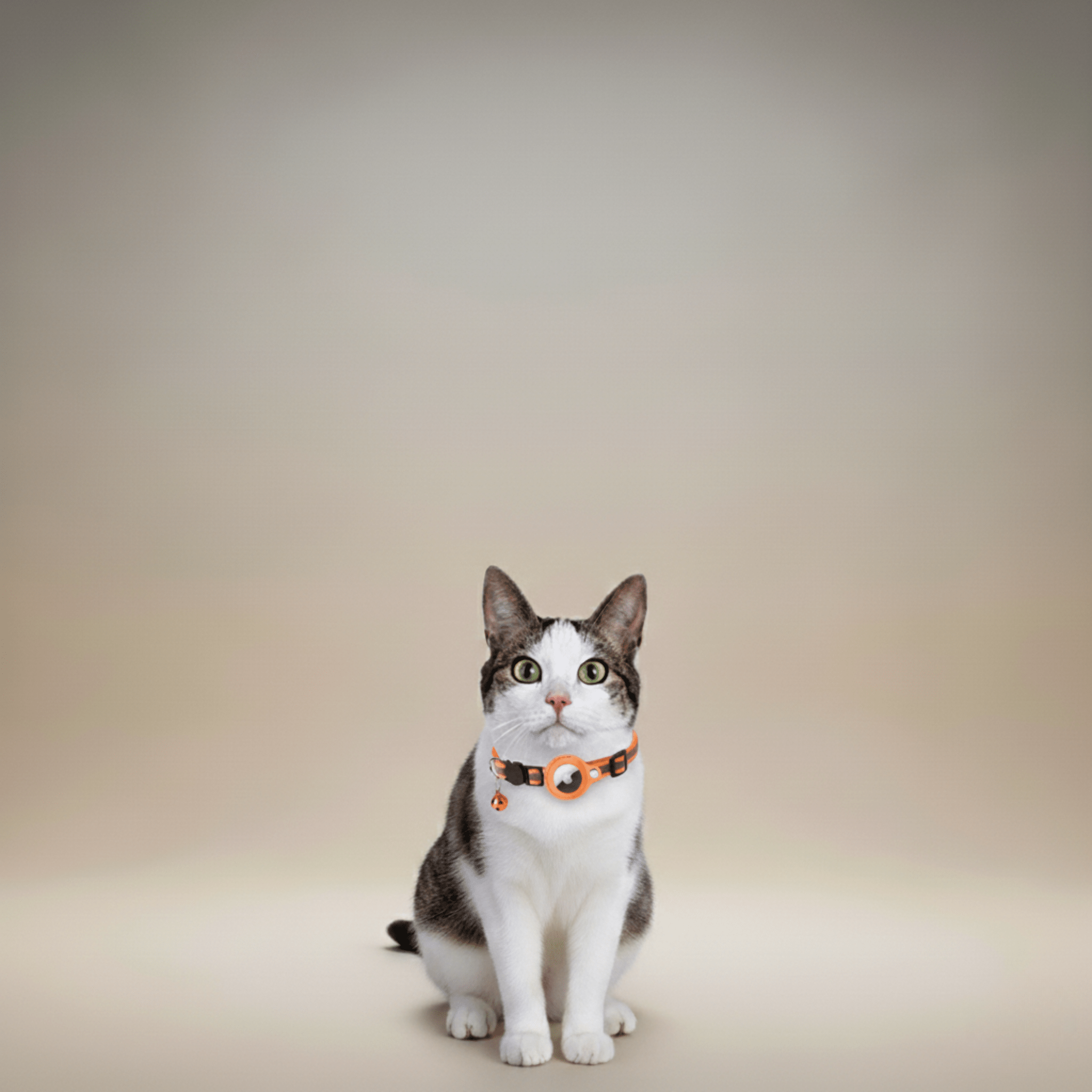 Cat Tracker Collar | GPS Cat Collar with Quick Release & Reflective Design for Enhanced Safety