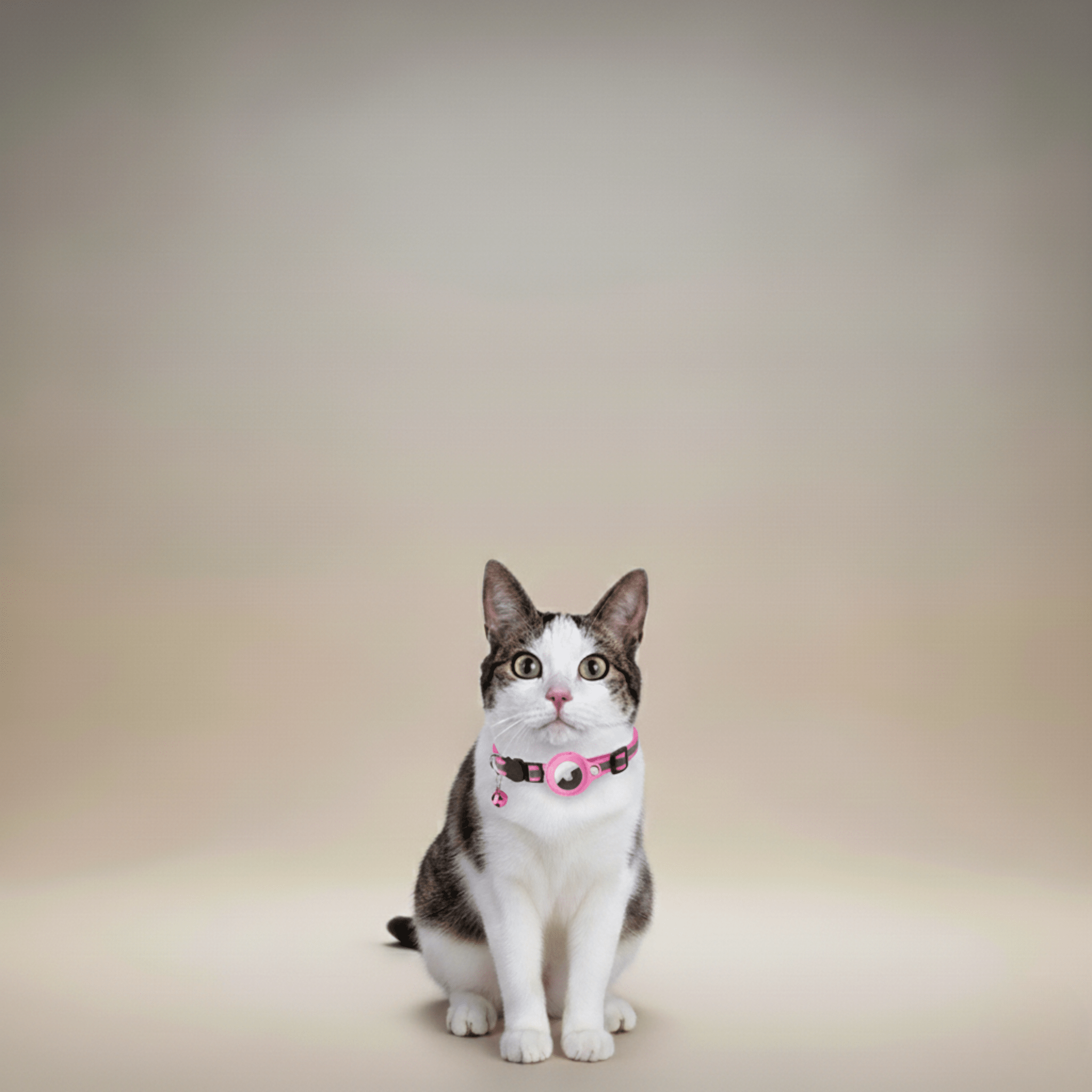 Cat Tracker Collar | GPS Cat Collar with Quick Release & Reflective Design for Enhanced Safety